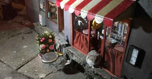 Неизвестные открывают крошечные магазины для мышей  