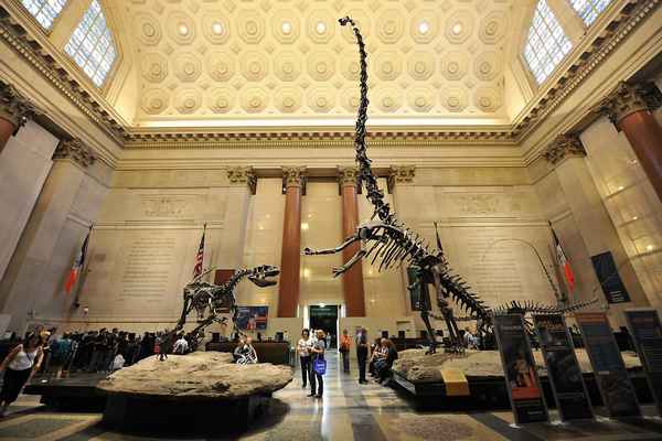 Национальный музей естественной истории США показал всю свою коллекцию экспонатов  