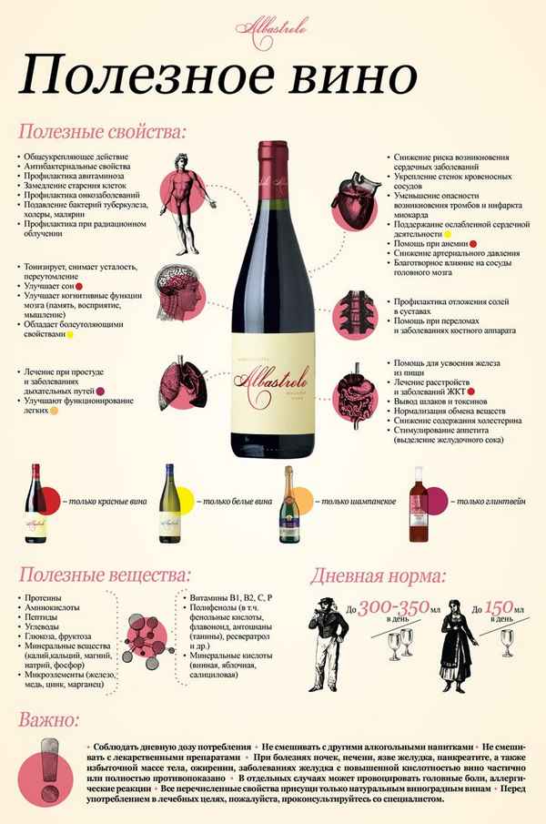 Полезные свойства красного вина  Интернет-журнал 