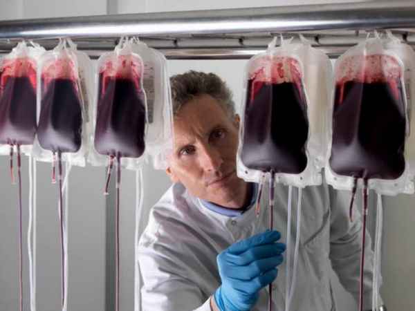 Исследование: молодая кровь омолаживает организм