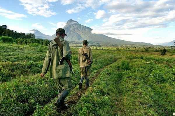 Вирунга - самый опасный национальный парк в мире  