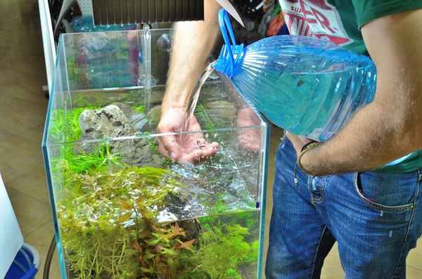 Как правильно менять воду в аквариуме?  