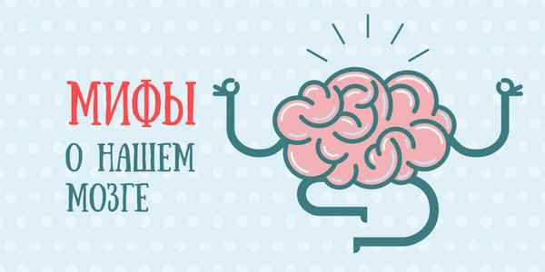 7 мифов о человеческом мозге  