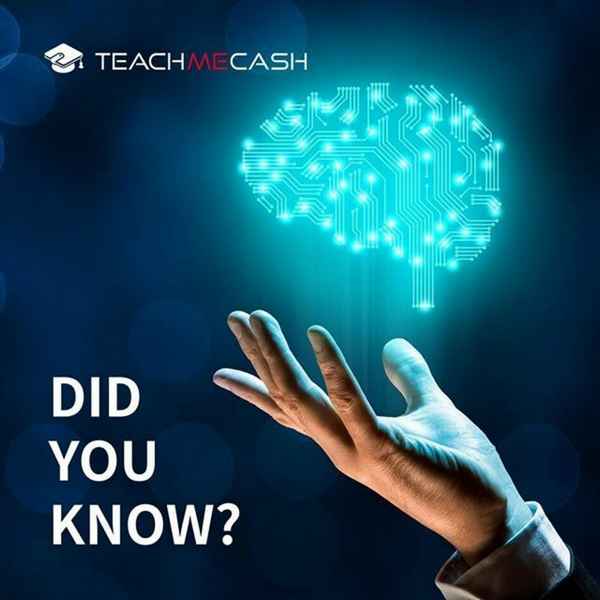 Учитесь и зарабатывайте с TeachMeCash  